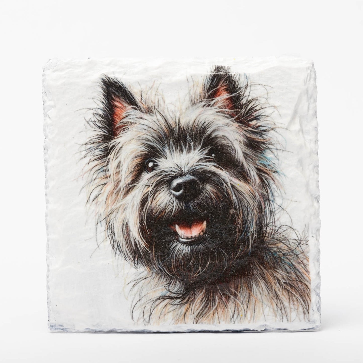 Cairn Terrier Slate Coasters