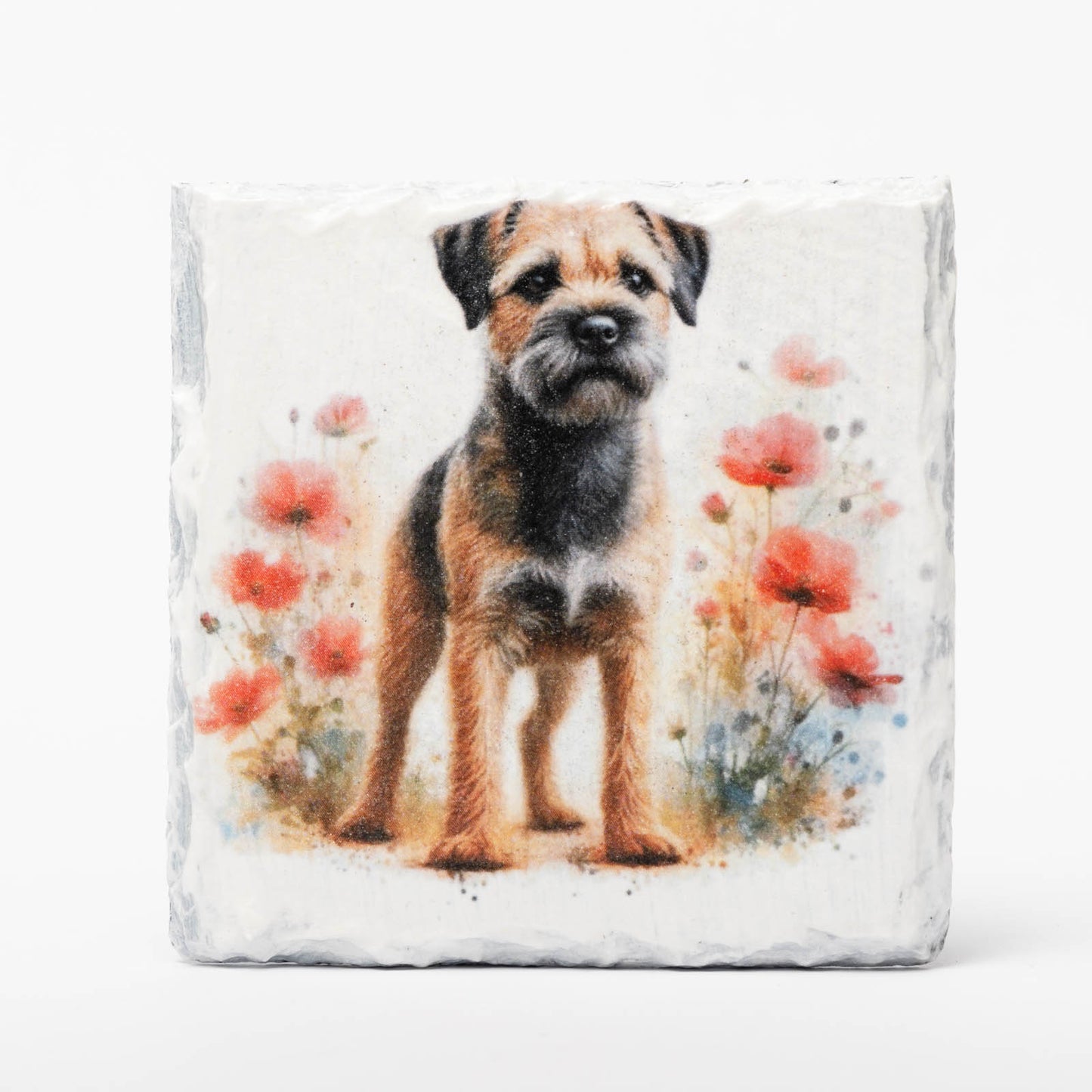 Border Terrier Slate Coasters