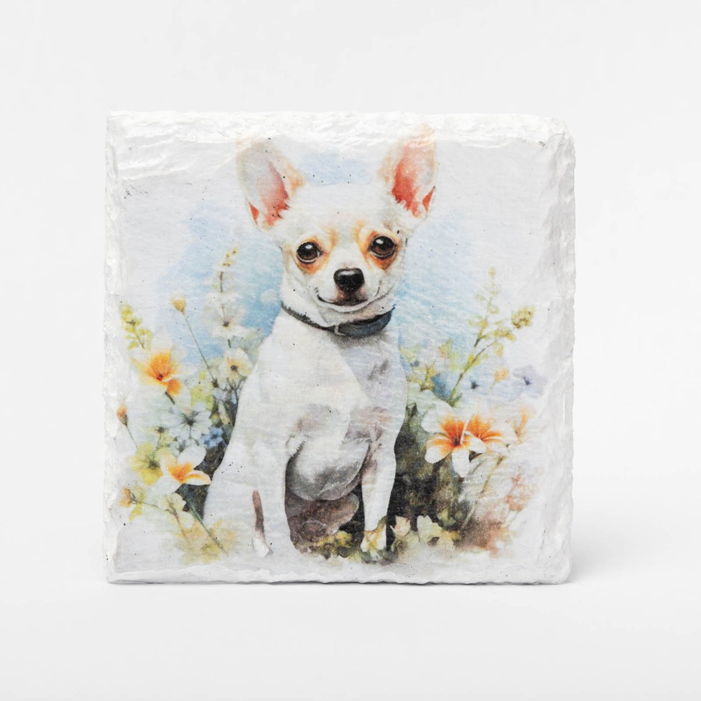 Chihuahua Slate Coasters