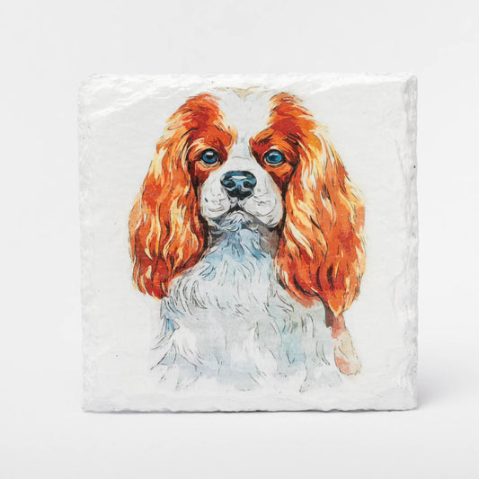 Cavalier King Charles Slate Coasters