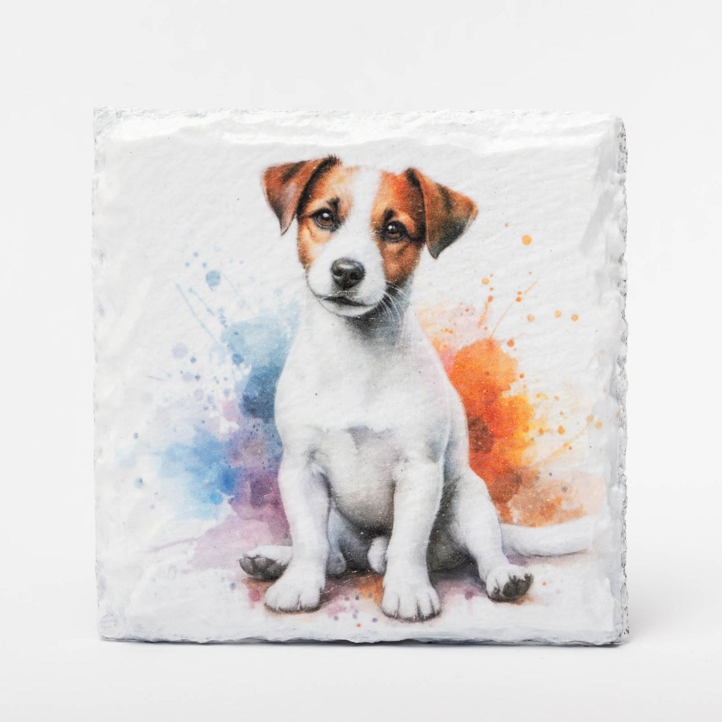 Jack Russell Terrier Slate Coasters