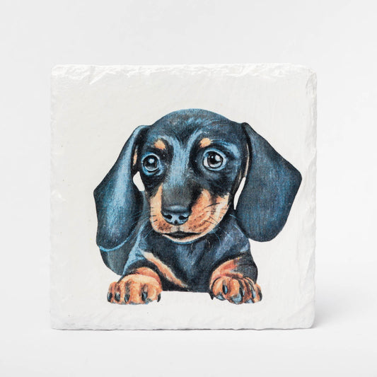 Dachshund Slate Coasters