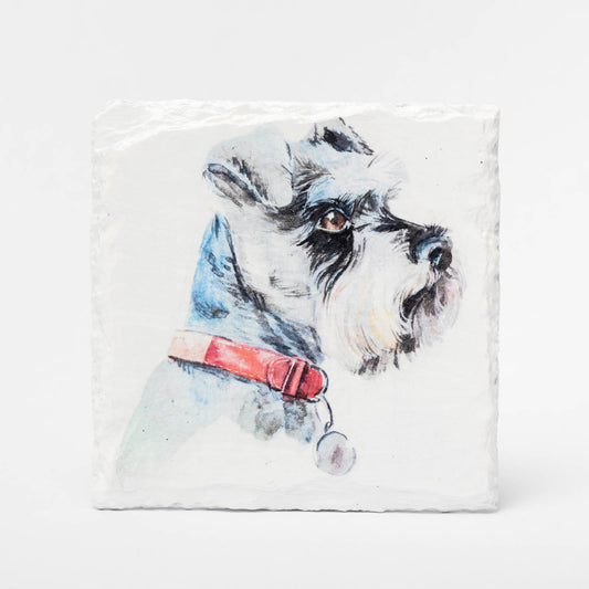 Schnauzer Slate Coasters