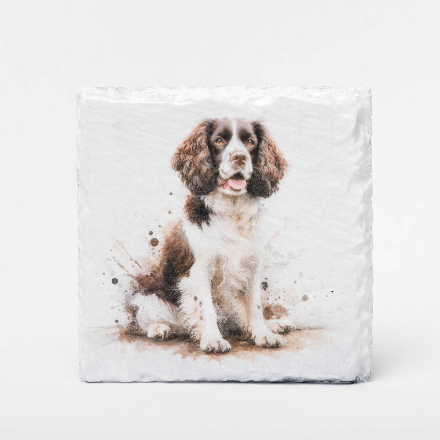 Springer Spaniel Slate Coasters