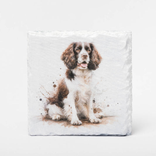 Springer Spaniel Slate Coasters