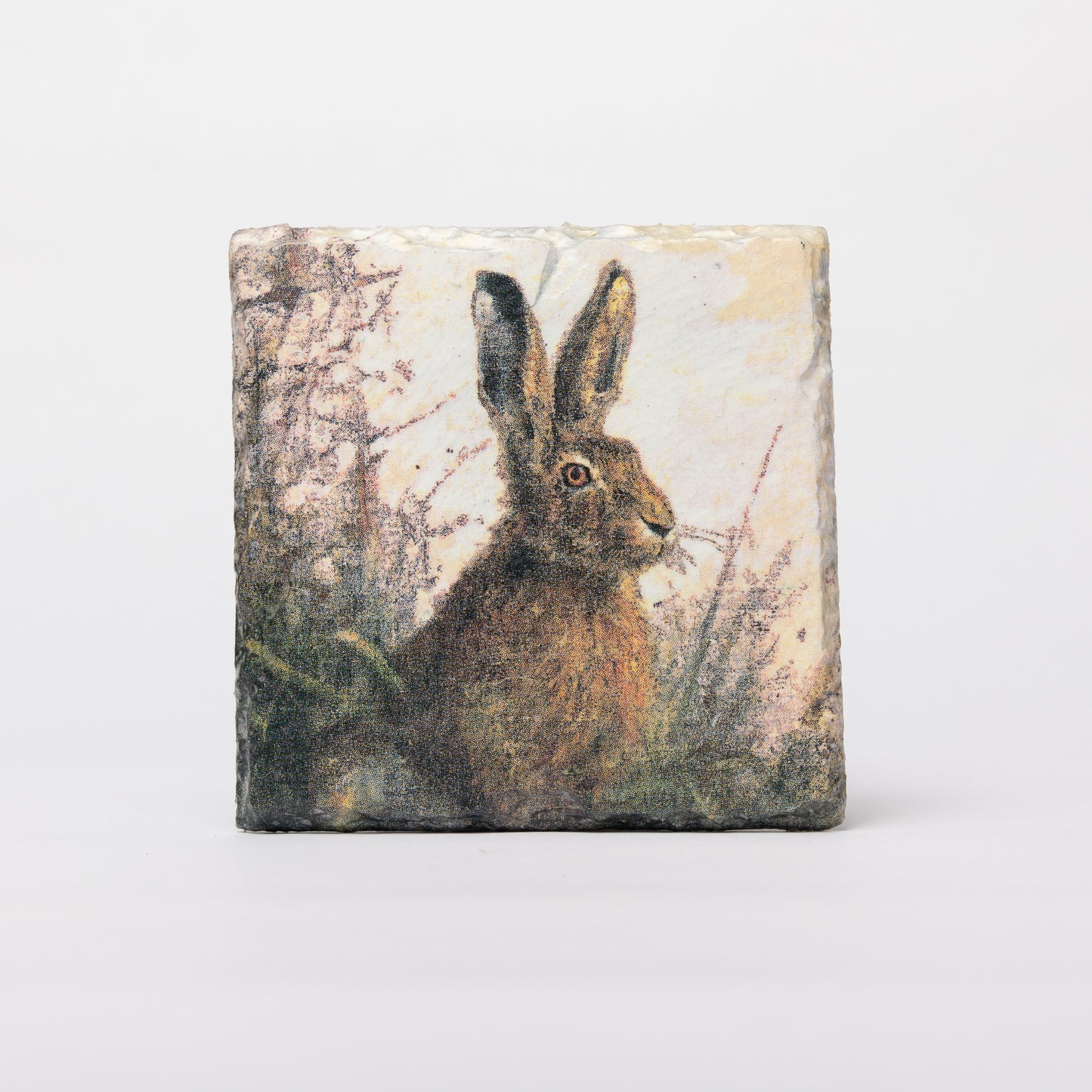 Hare Slate Coasters