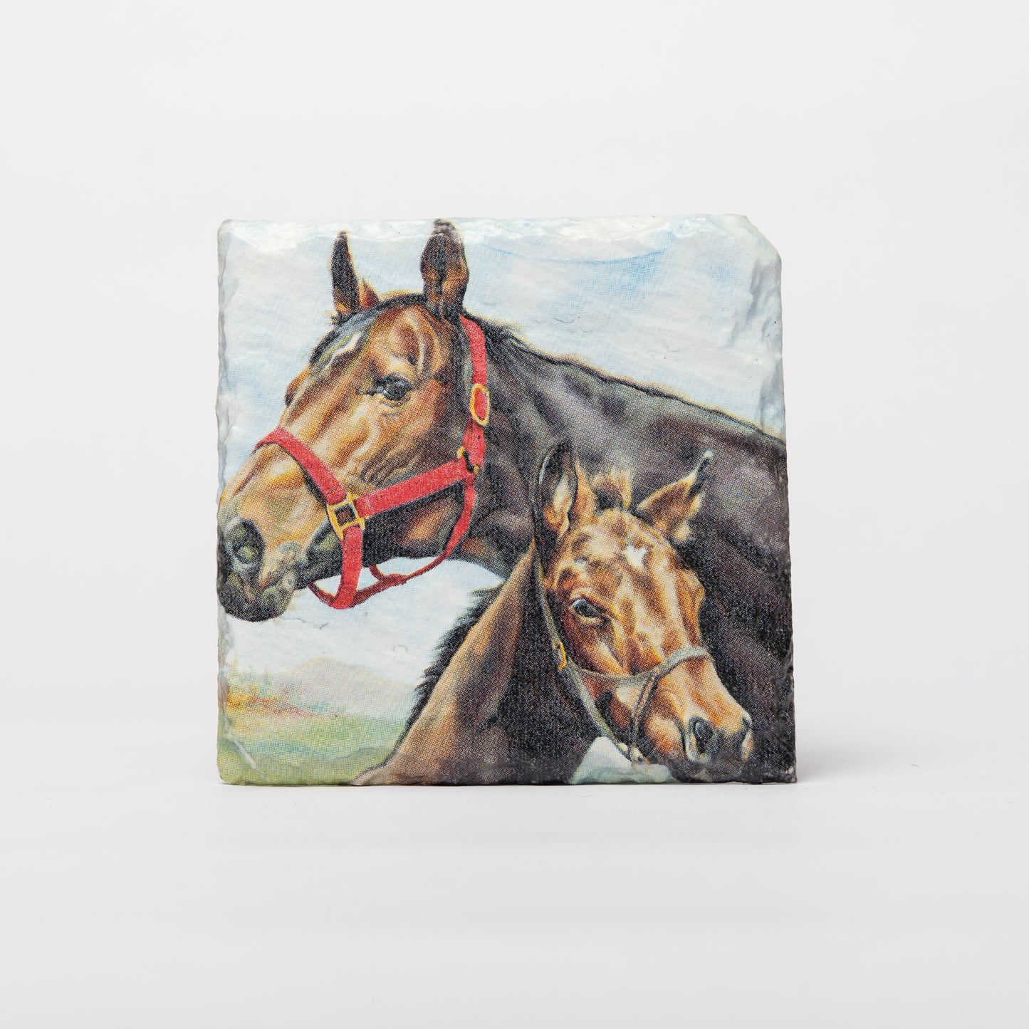 Mare/Foal Slate Coasters