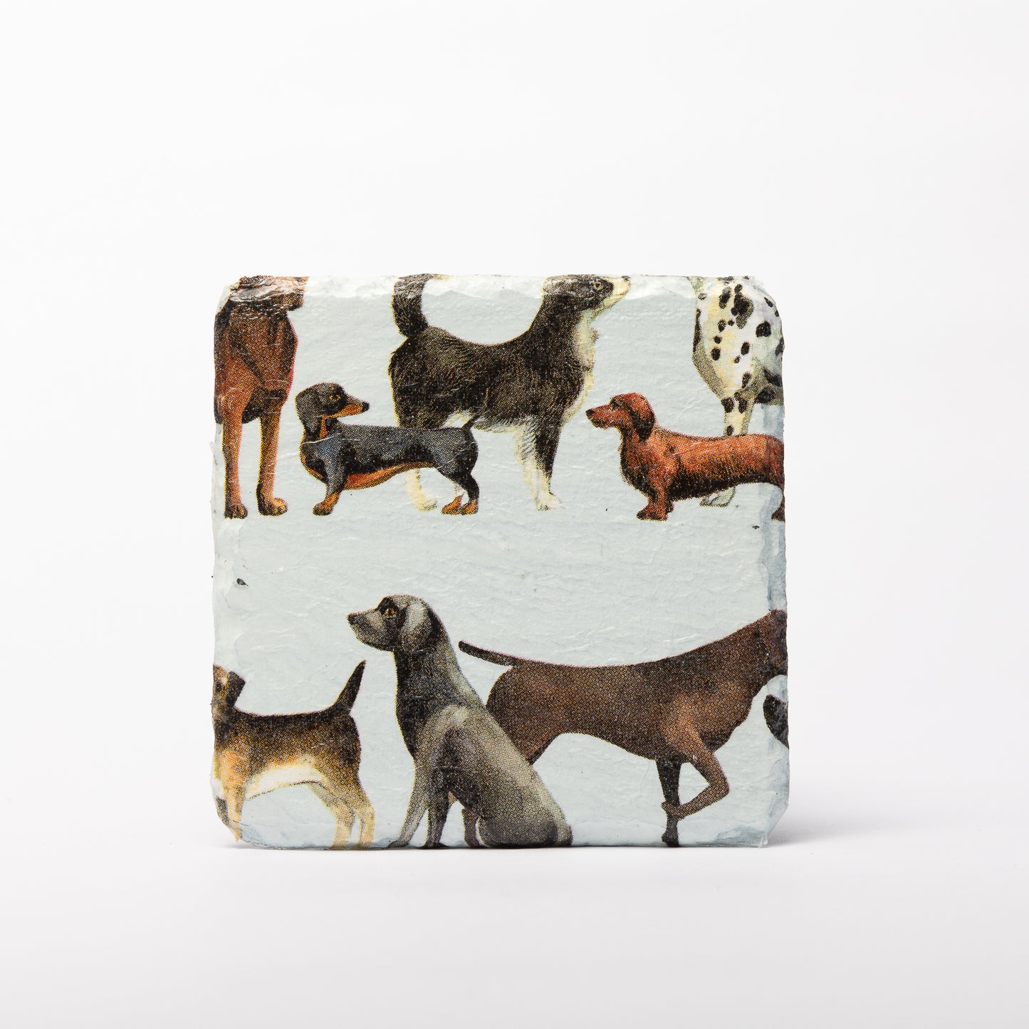 Dog Slate Coasters