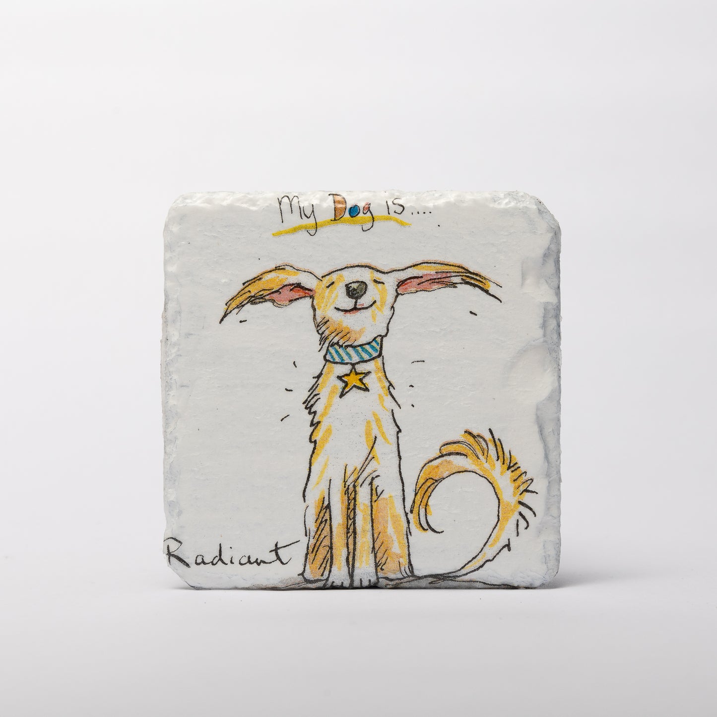 Dog Slate Coasters